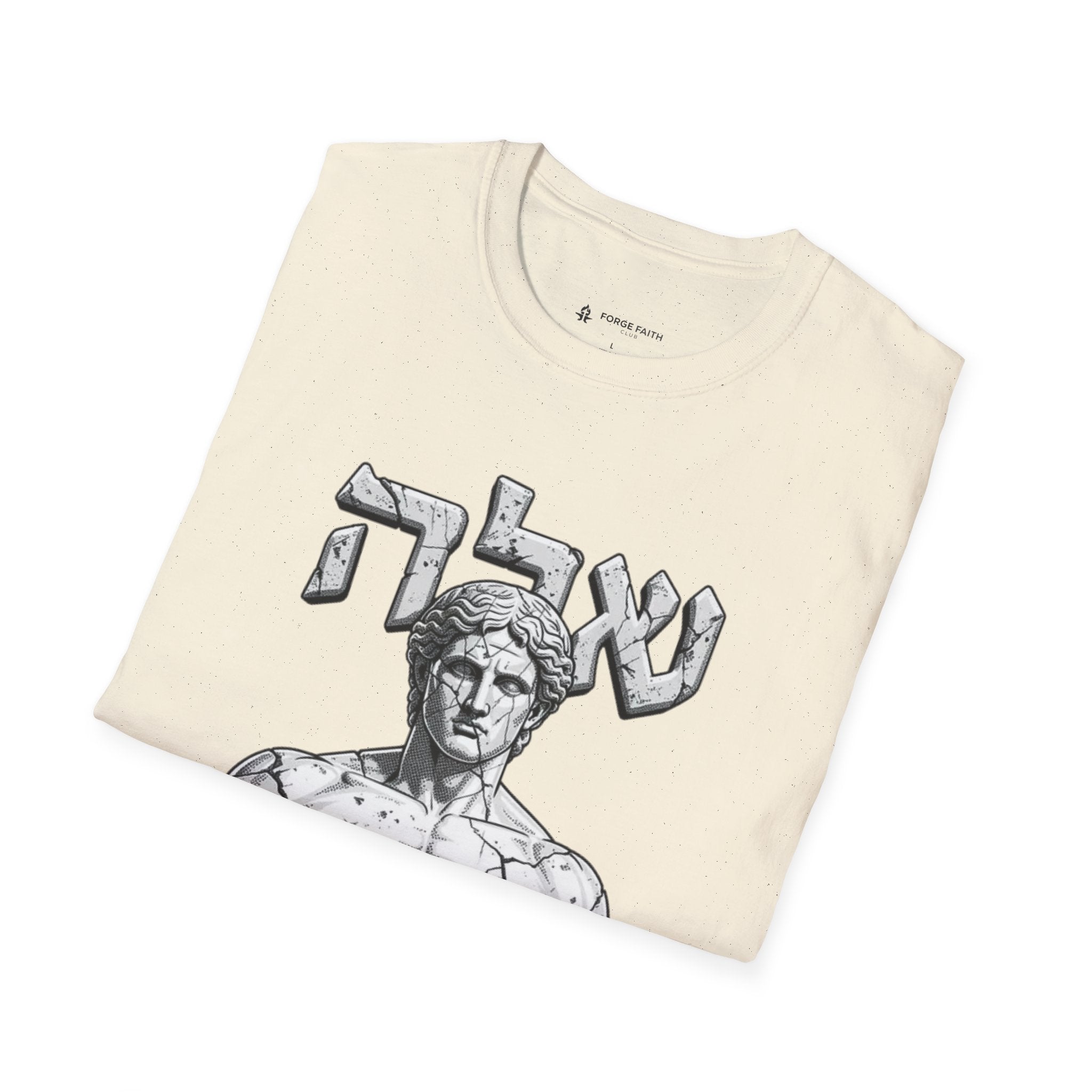 Ancient Stone Physique T-Shirt