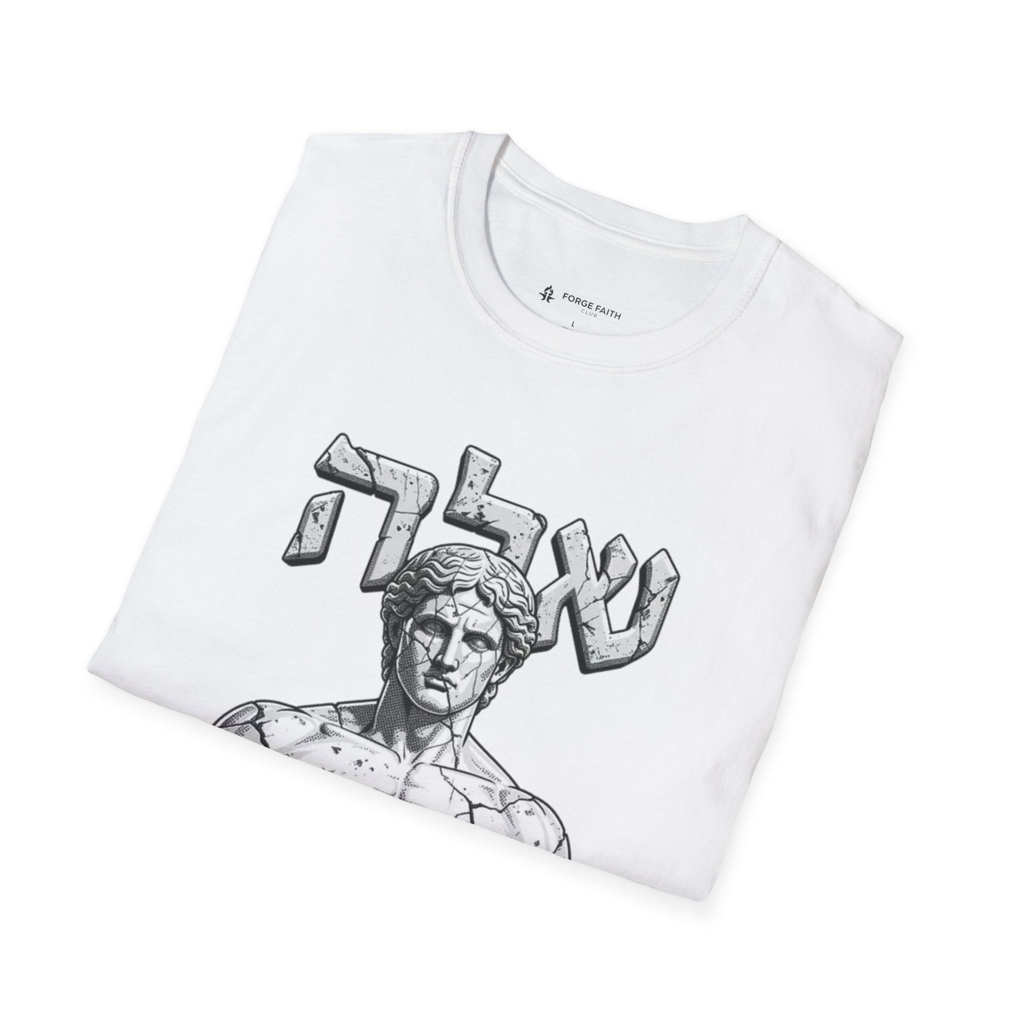 Ancient Stone Physique T-Shirt