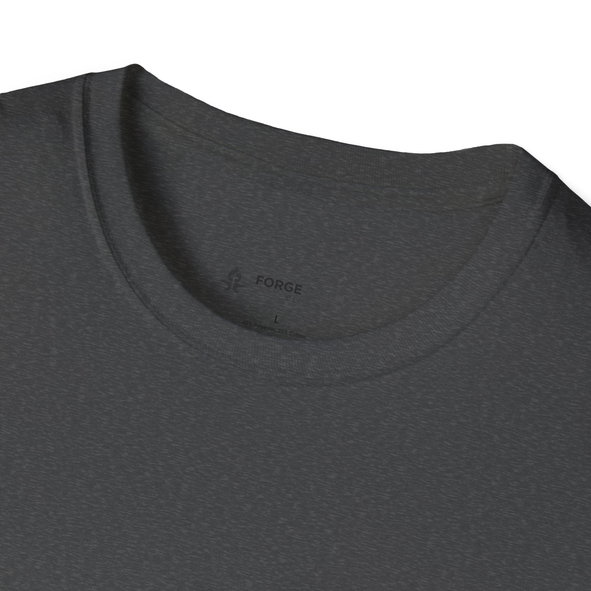 Bibles Before Biceps T-Shirt