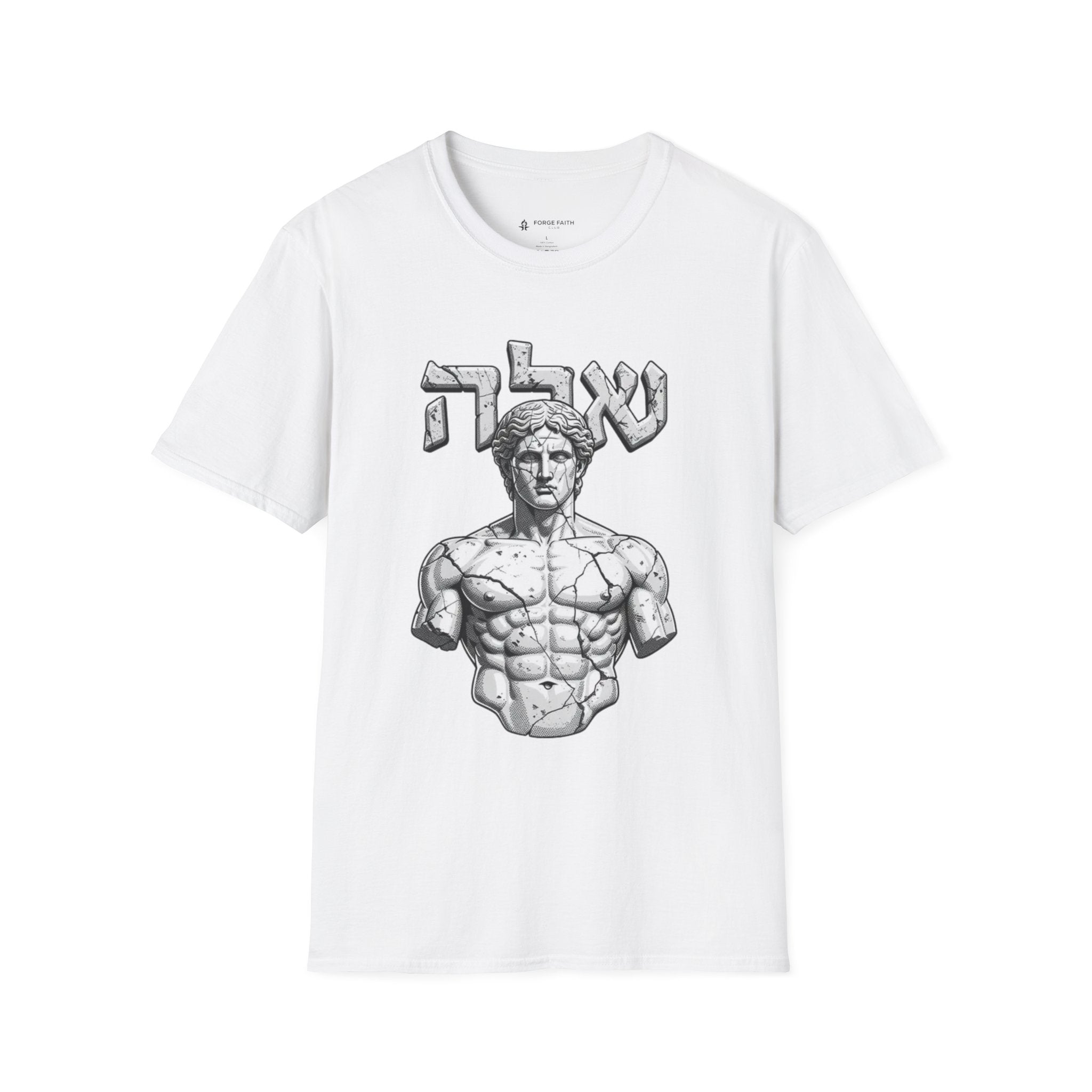 Ancient Stone Physique T-Shirt