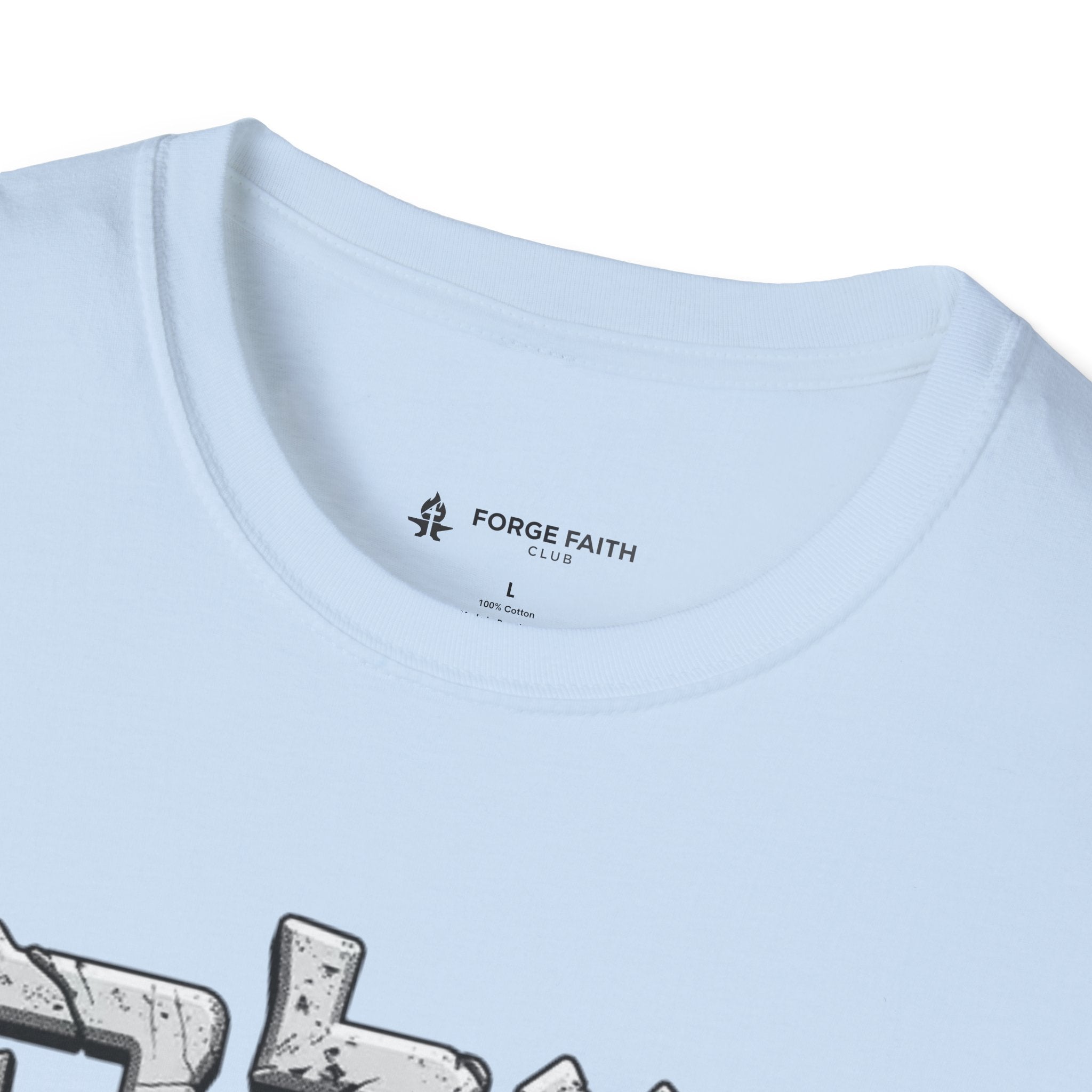 Ancient Stone Physique T-Shirt