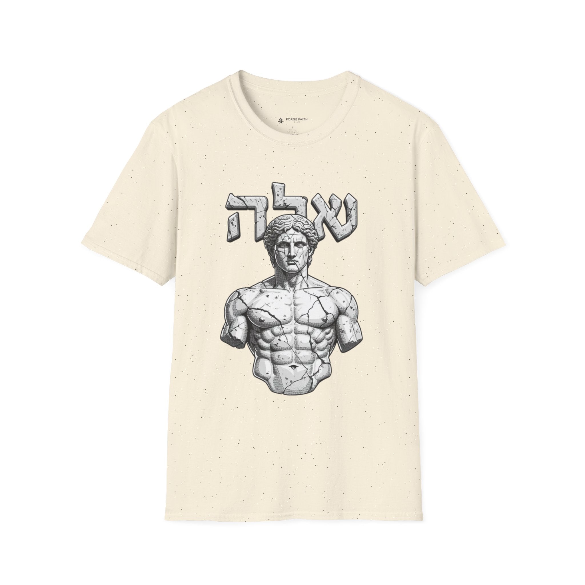 Ancient Stone Physique T-Shirt